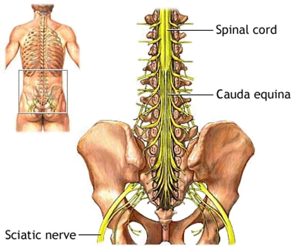 Pins And Needles Sensation In Lower Left Leg 115