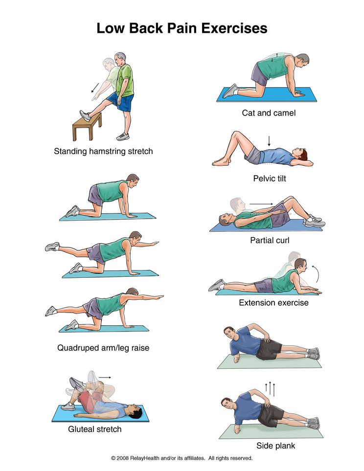 exercises might be used to treat back pain or sciatica