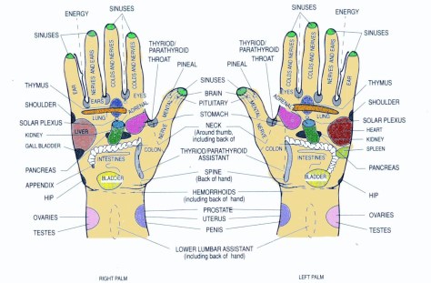 Hand Reflexology Meridians