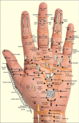 Hand Reflexology Massage Meridians
